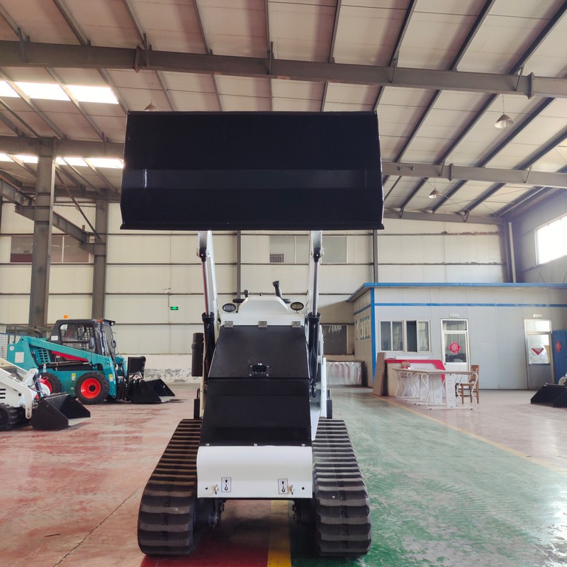 รถตักตีนตะขาบ