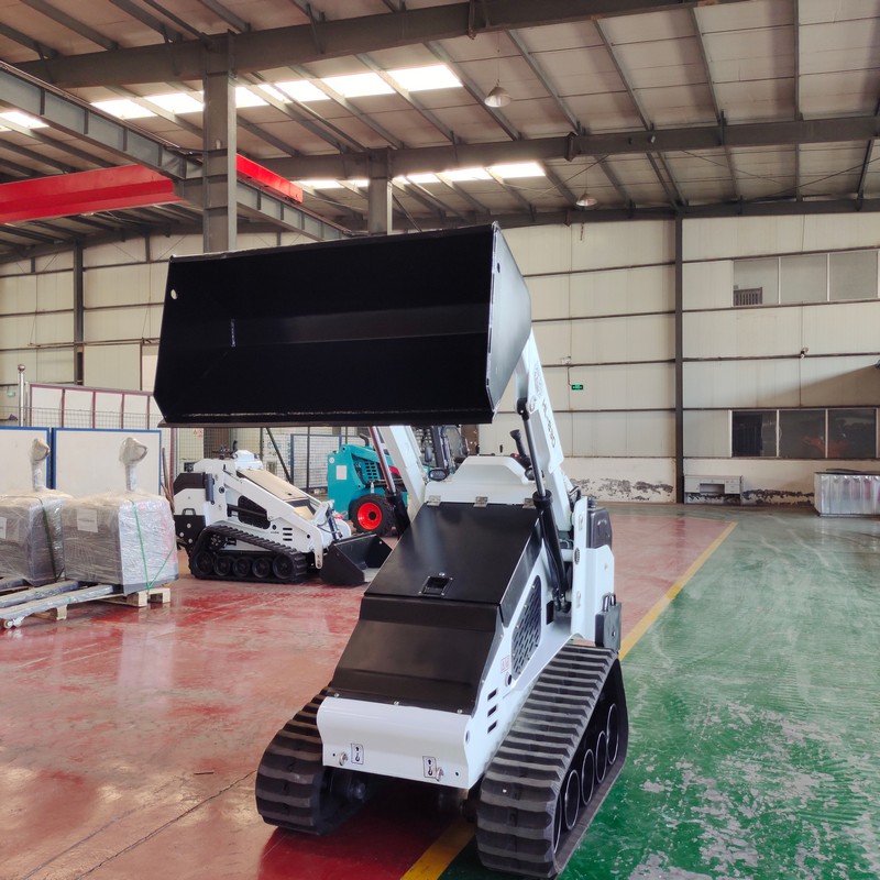 รถตักล้อยางแบบตีนตะขาบ